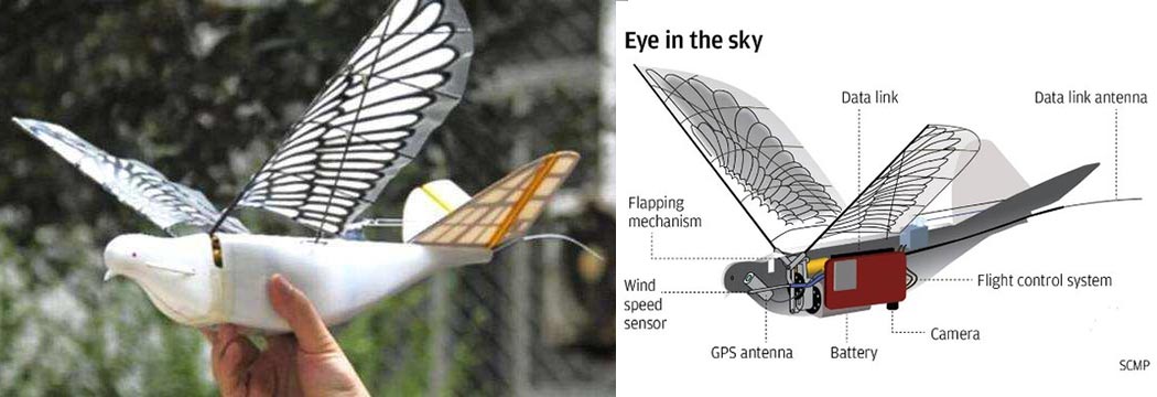图为中国"信鸽"仿生无人机，据美国据《商业内幕》报道，“信鸽”的物理设计和空中运动与真实的鸽子非常相似，它可以模拟90%真正的“鸽子”运动，并且不被先进的雷达系统探测到。"信鸽"配备了高清摄像头，GPS天线，飞行控制系统，以及可以与卫星通信的数据链路，"信鸽"重约200克、翼展约50厘米，最大飞行时速可达40公里，最长续航时间为30分钟。特制的防震颤软件，可以保证载机摄像头的成像清晰度，从而成为令敌人难以发现的侦察手段。不过，目前从技术成熟度上讲，"信鸽"还处于初期阶段，据称其开发成本达到了15.2亿美元。目前，"信鸽"无人机已经在新疆地区和中国至少五个省份接受了大约30个政府机构的测试。